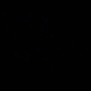 Meet your Posher, Hector